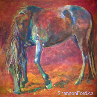 mangalarga marchador